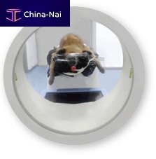 CT scanner for brain tomography