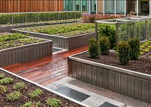 Garden edge metalhigh