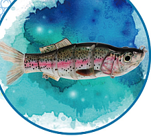 ������ ��� ������� Guangzhou ODAA Fishing GEAR CO.,LTD.