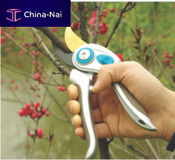 ���������� ��� ���� � ������� Shanghai Worth Garden Products Co.,Ltd.