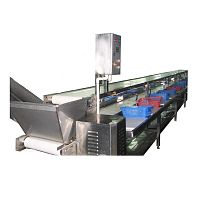 Shrimp peeling machine ZD-XL 10000