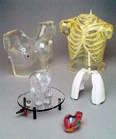 Nuclear imaging test phantom 5220-RS5xxxlungthoraxheart