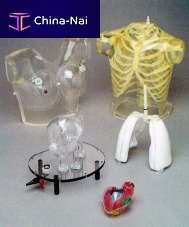 Nuclear imaging test phantom 5220-RS5xxxlungthoraxheart