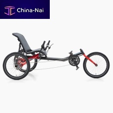 Crank-propelled recumbent trike TRIGOadult