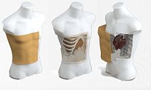 Radiosurgery test phantom Quant®torso