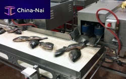 Fish eviscerator machine DC-18