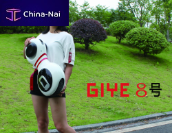 ����������  Best regards Bonnie Ningbo Gaia Electric Vehicle Technology Co., Ltd 