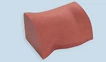 Radiography test phantom UROATOMtorso