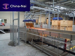 Apple washing machine immersion