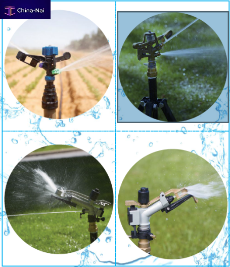 											������� ������ LUMO 