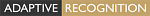   Adaptive Recognition