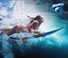 ������� ��� �������� � ��������  Vincent He Vata-Power Source Company Ltd