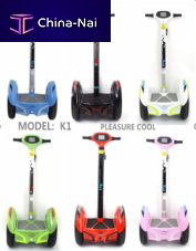 ������  CHANGZHOU SHIJUN AUTOMOBILE DECORATION CO.,LTD 