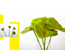 ������������� ��������   SJ Factory Co., Ltd.