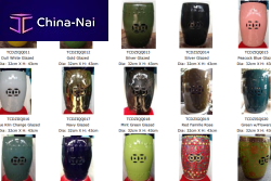 ������������ ����� ��� ���� � ���� Jingdezhen Tanglong Ceramics Co.ltd