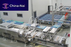 Baguette bread production line automatic