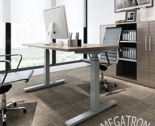 ����� ������������  Megatron （Changzhou）Electronic Technologies Co.,Ltd.