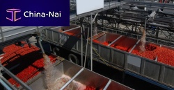 Tomato processing line