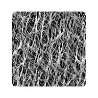 Filter membrane FPL seriessurfacePTFE