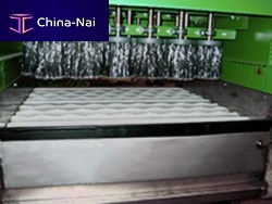 Vegetable processing line