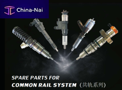 ������������ ��� ��������� ����������  Dgweiyuan