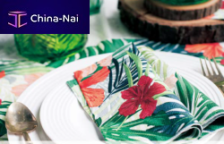 �������� �������� D AND F (SHENZHEN) COMPANY LIMITED