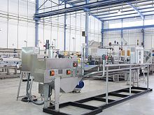 Sardine nobbing machine