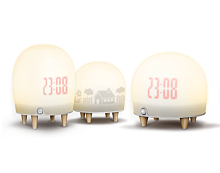 Wendy Cheng ���� ���������� FOSHAN CITY RUGUO ELECTRONIC TECHNOLOGY CO.,LTD