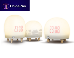 Wendy Cheng ���� ���������� FOSHAN CITY RUGUO ELECTRONIC TECHNOLOGY CO.,LTD