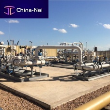 Gas pressure regulator unit