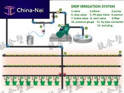 ������������ ���������  Water Saving Science And Technology Group Co., Ltd.