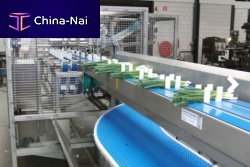 Vegetable processing line